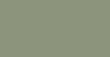 T6-GN16 Sea Foam Green